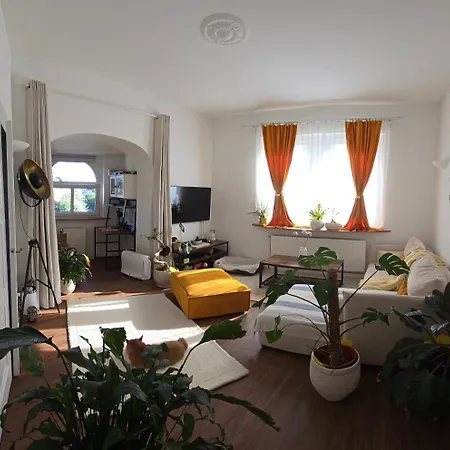 Altbauwohnung 公寓
